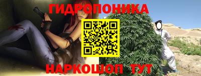 эйфоретик Краснодар