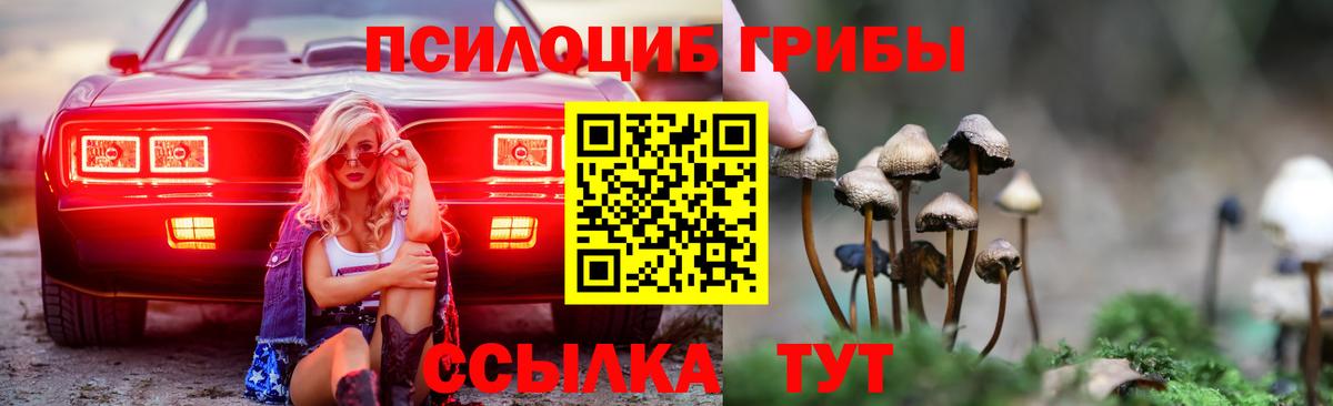 Галлюциногенные грибы GOLDEN TEACHER  Вход с VPN  Губкинский 